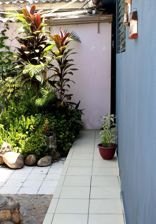 Ximenas Guest House Σαν Σαλβαντόρ Εξωτερικό φωτογραφία