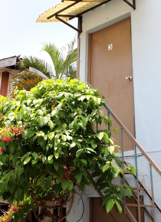 Ximenas Guest House Σαν Σαλβαντόρ Εξωτερικό φωτογραφία